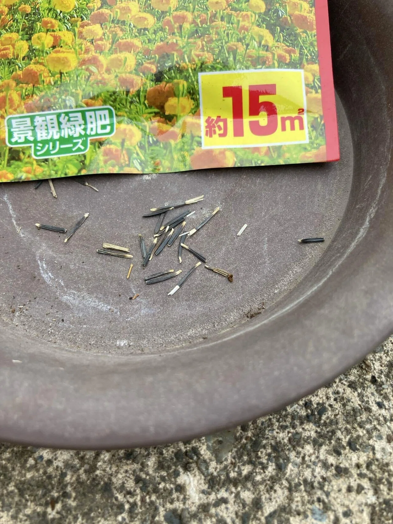 行灯を設置しました～新規就農への記録その88」｜はたけのいす