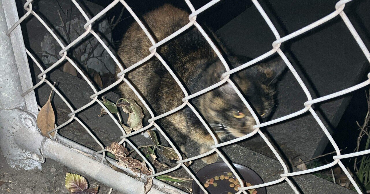 猫まみれ おこげ編 part1｜りっちー
