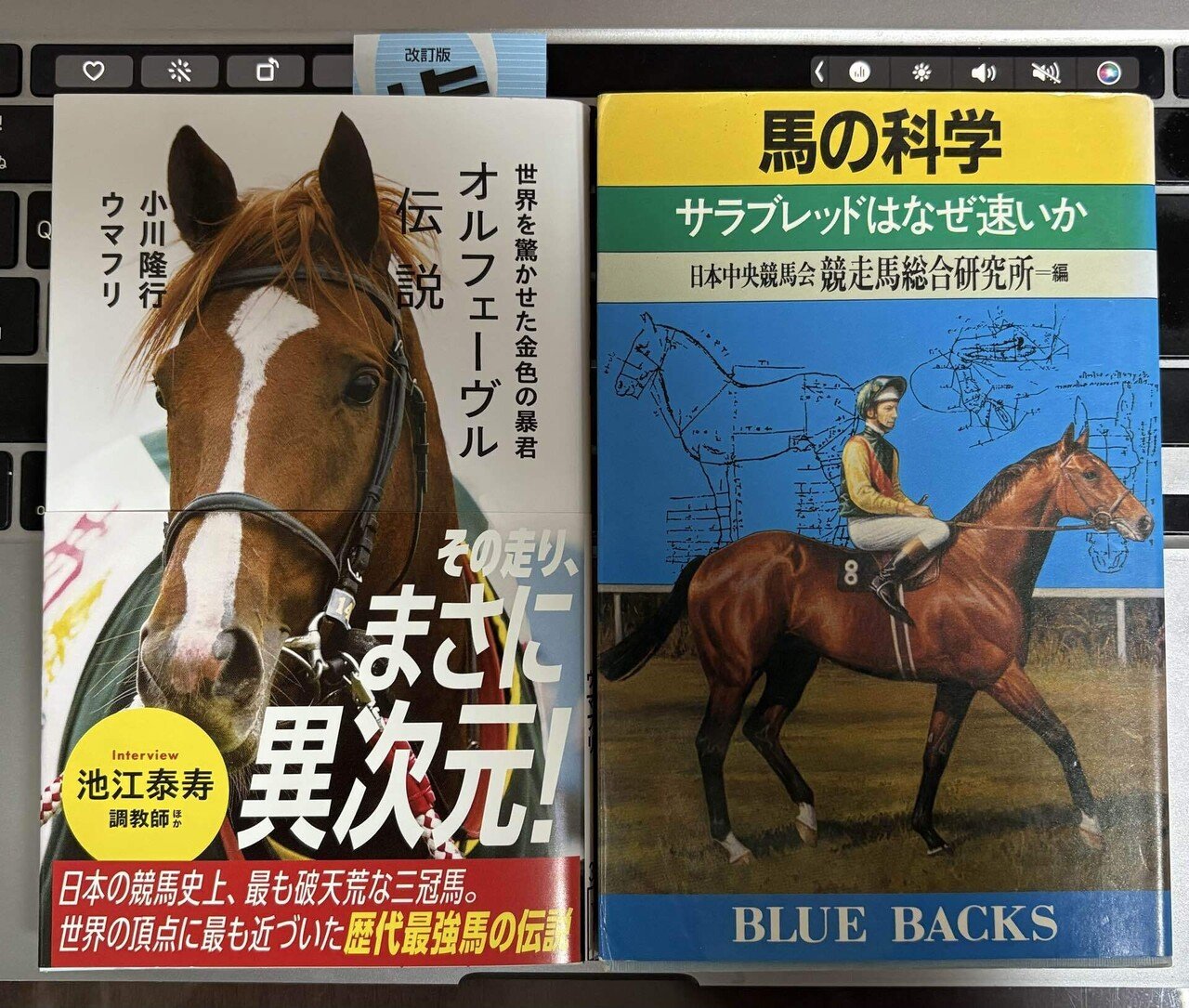 【メーカー直送】 競馬本を3冊も買ってしまった。｜稲庭うどん ビジネス・経済