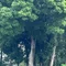 渡良瀬十四