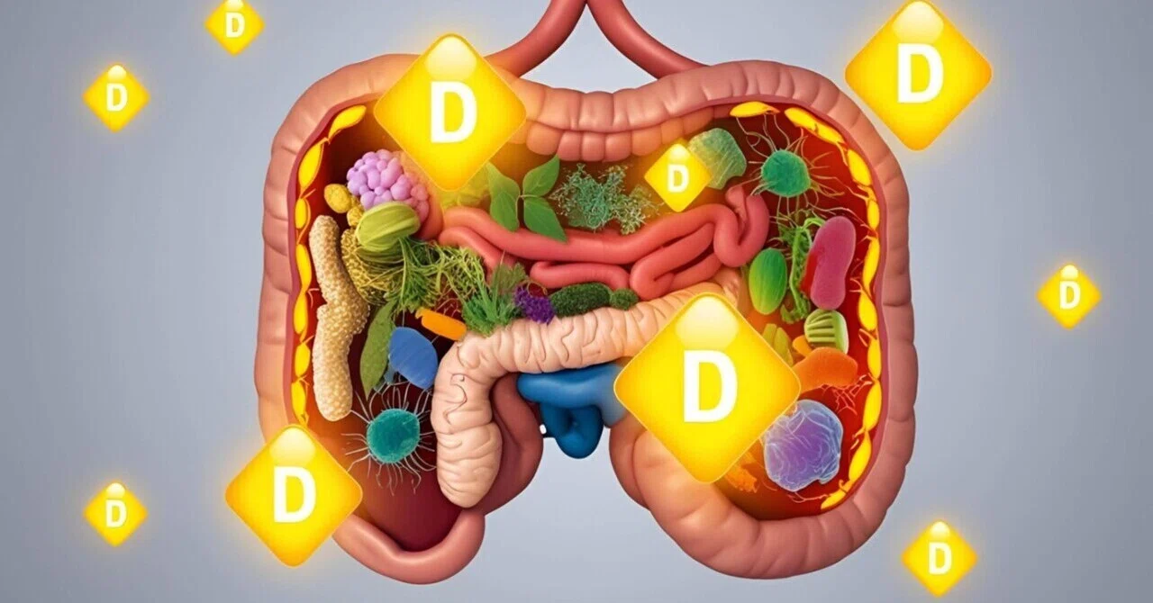 ビタミンDは腸内細菌叢を制御し、大腸におけるRORγt/FoxP3+制御性T細胞の数を制御する