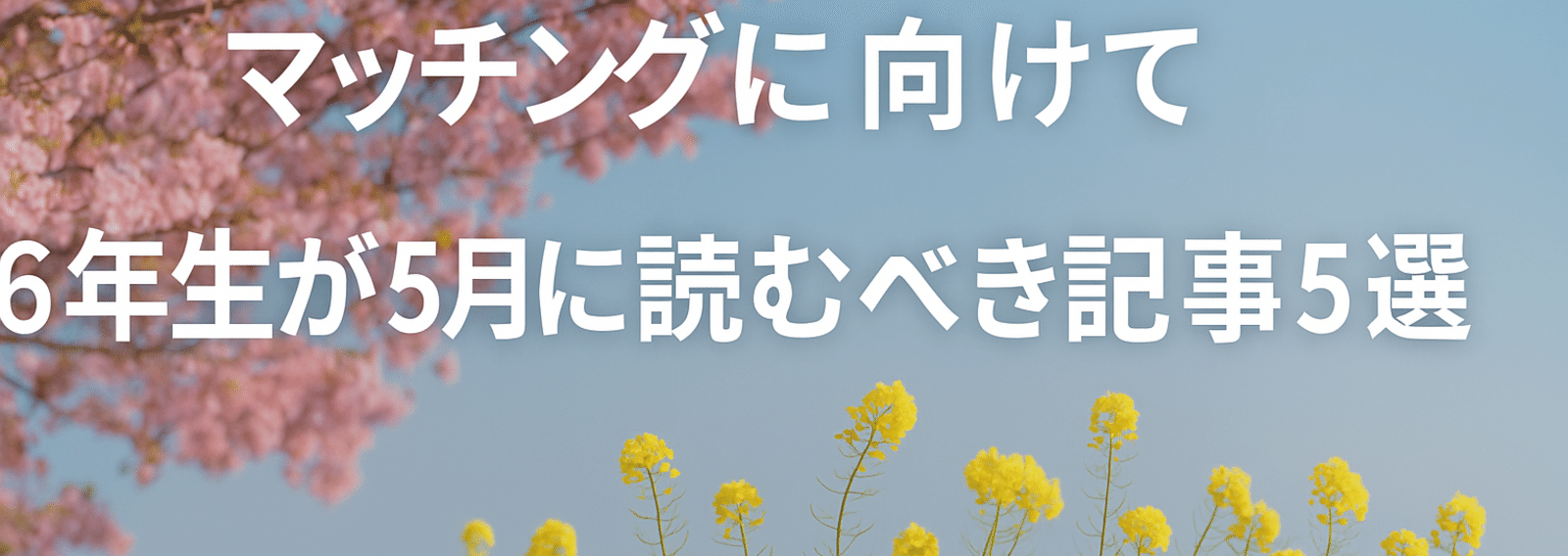 ⑦海外医学部生のためのマッチング対策 エムスリーエデュケーション 出版 【医学書籍案内】