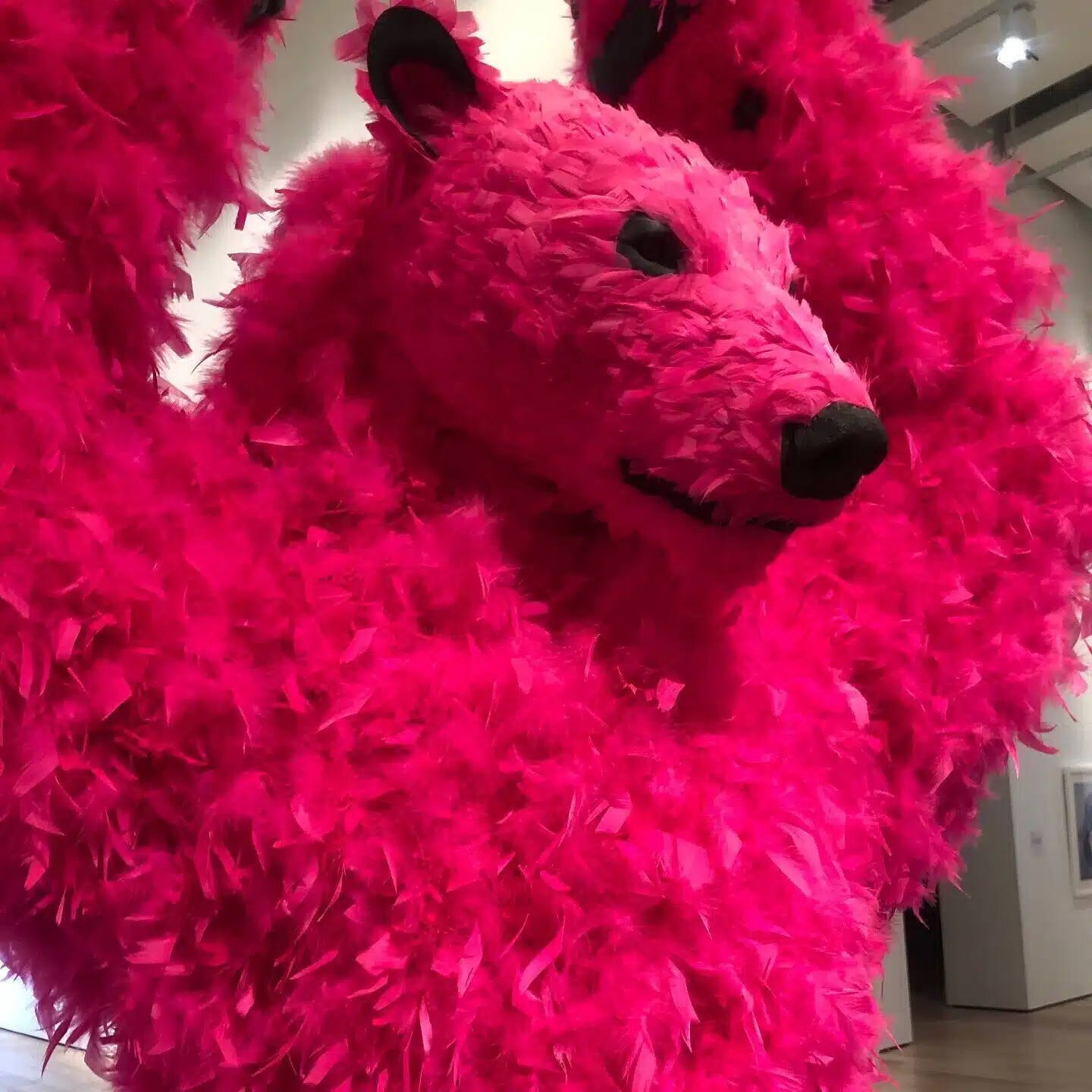 オカニシ
