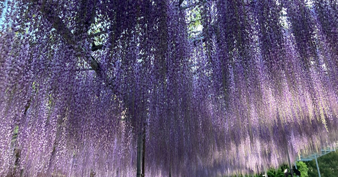 関東周辺四季の花巡り