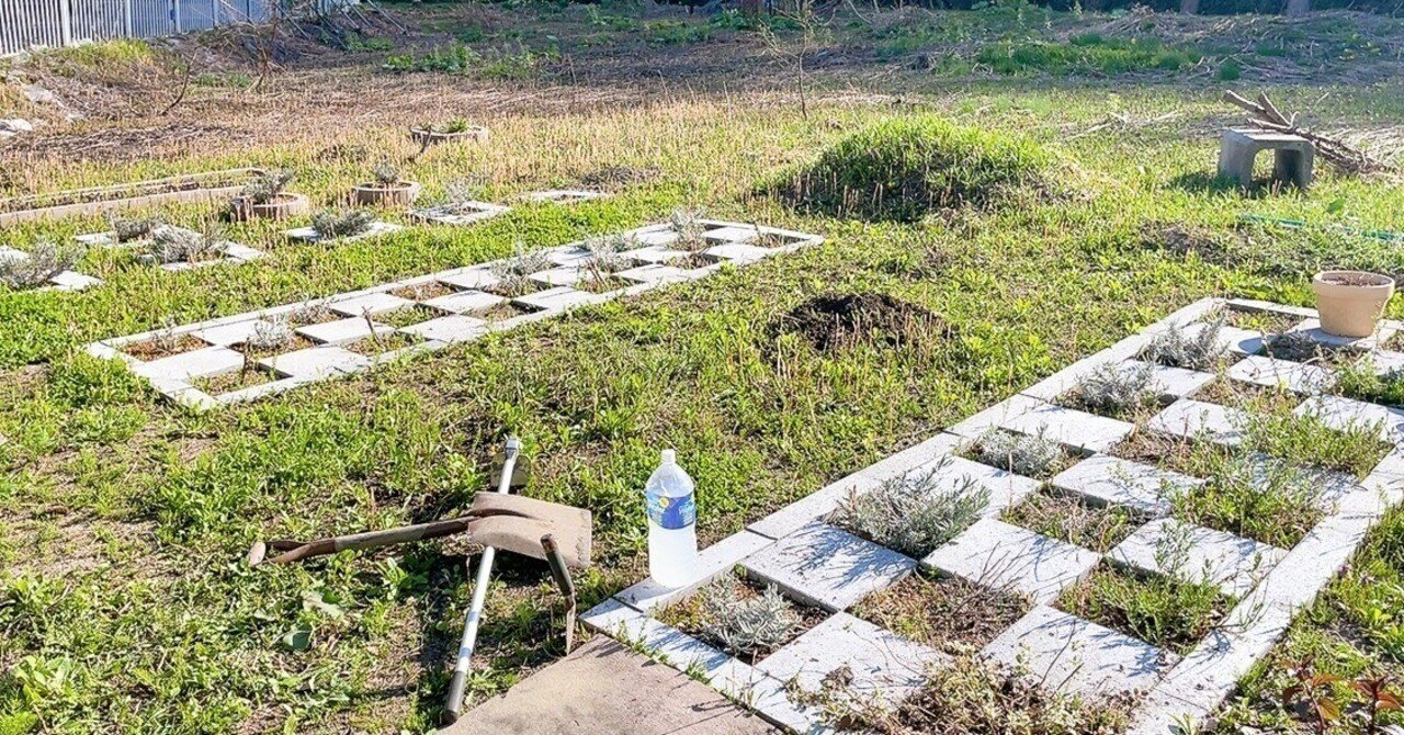 rectangle_large_type_2_81d6c01