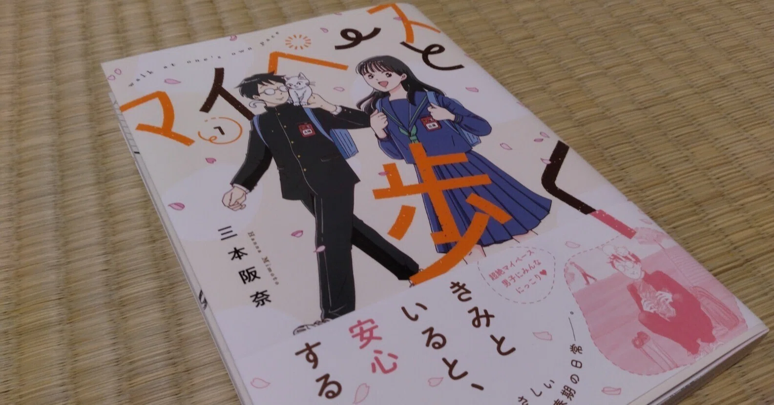 なにかに悩んでいる人に読んでほしい一冊【マイペースと歩く】【三本