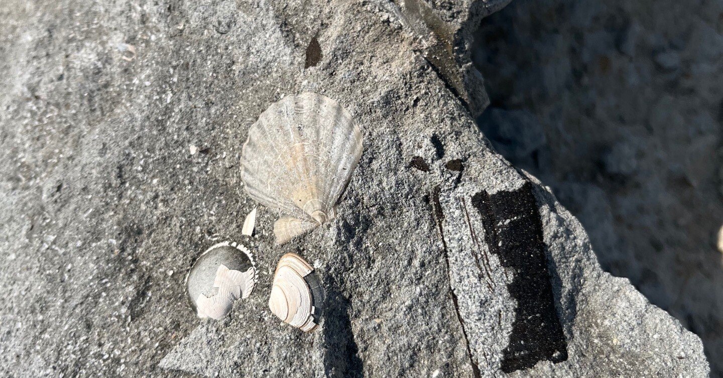 2fc4d5593f7b48f4375941a75390d0