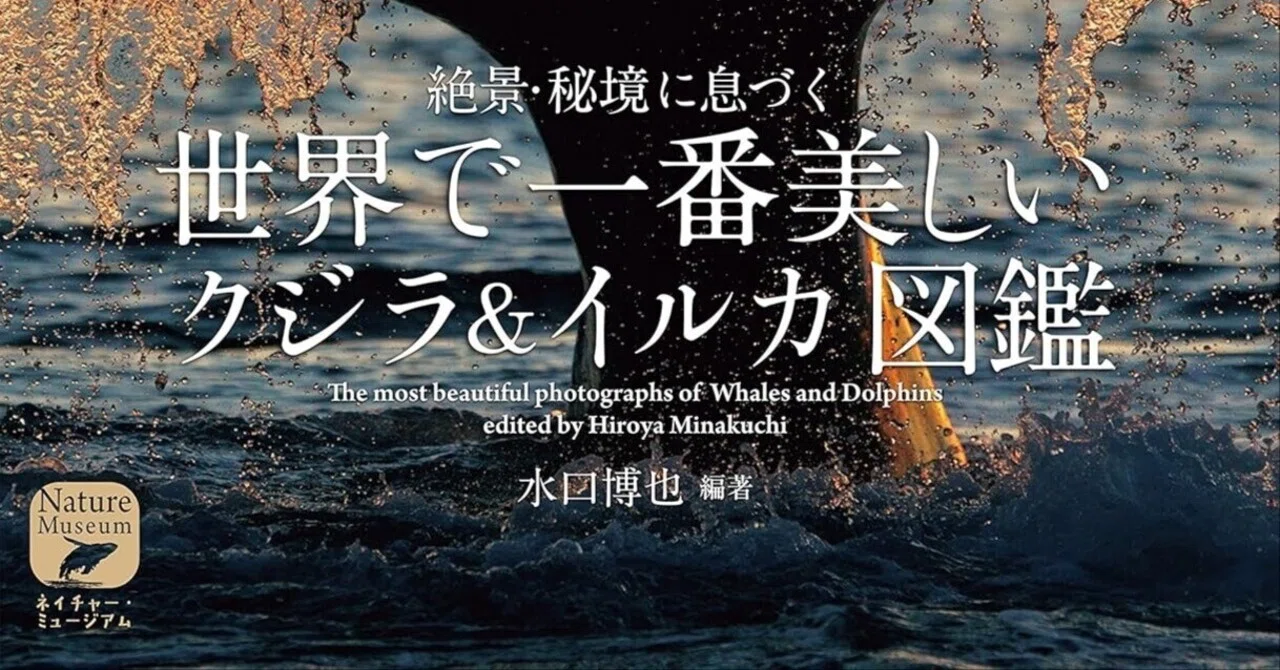 世界で一番美しい クジラ&イルカ図鑑』：神々しさと生命の物語が詰まっ