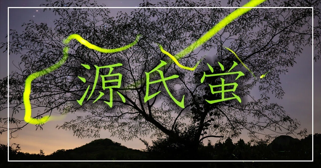 作例「源氏蛍」｜廣池昌弘｜Masahiro Hiroike
