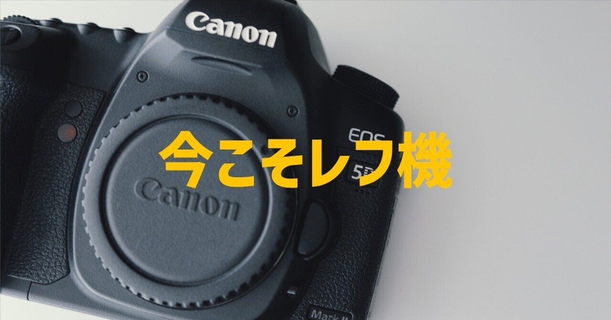 初めての一眼レフ機を購入【Canon EOS 5D markⅡ】：なぜ今この