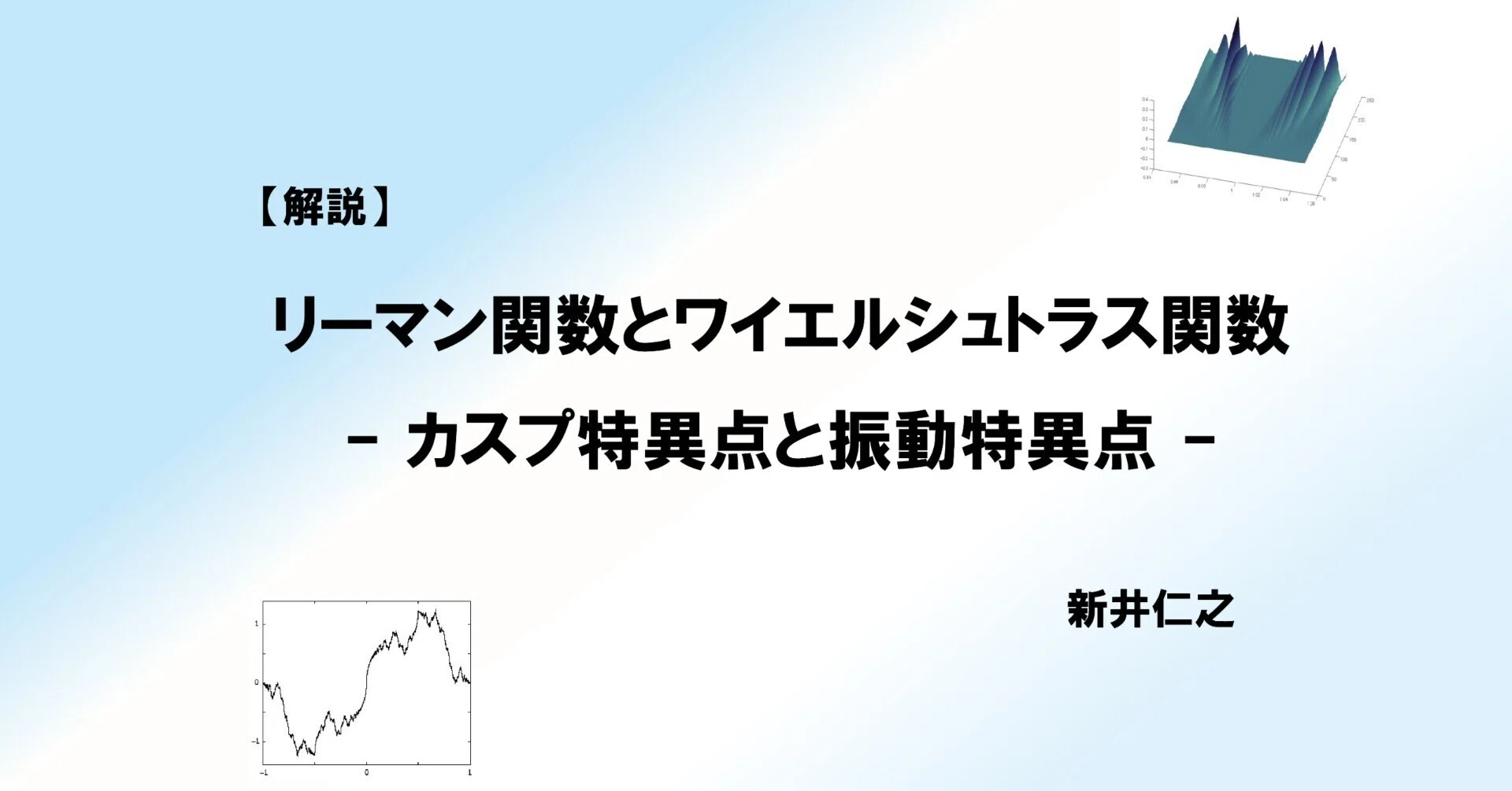 解説】リーマン関数とワイエルシュトラス関数 - カスプ特異点と振動 