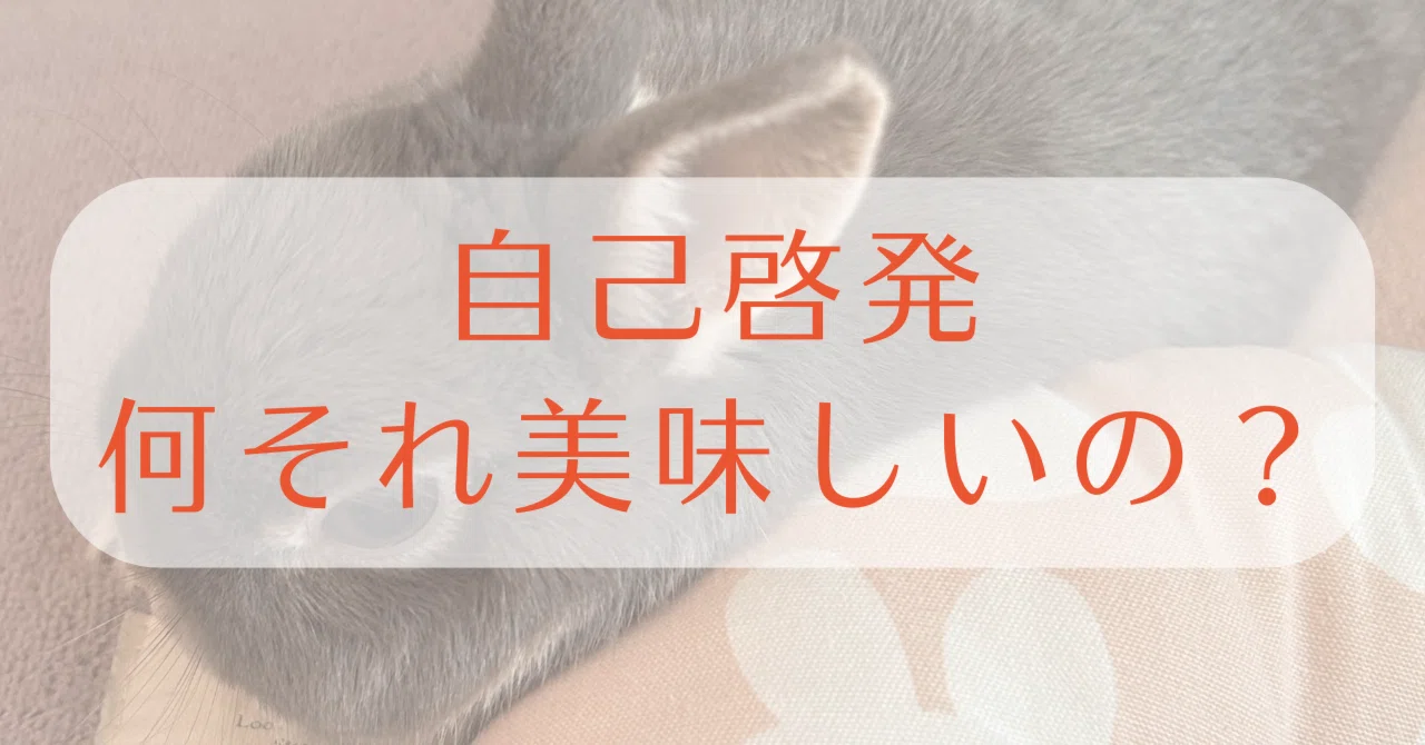 見出し画像