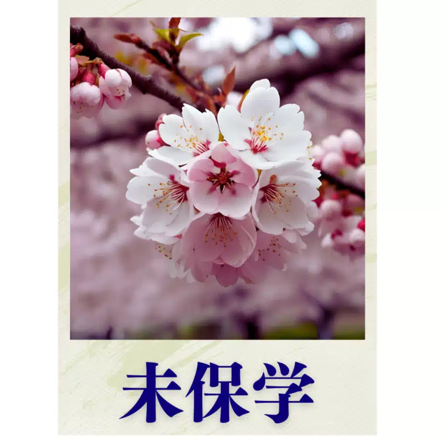未保学（みほがく）　沼倉つとむ