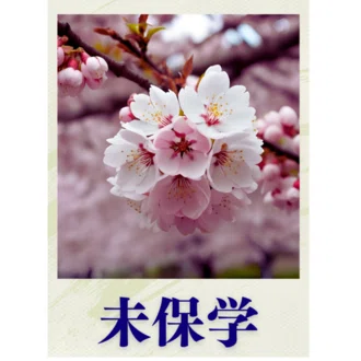 未保学（みほがく）　沼倉つとむ