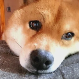 furuko
