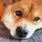 furuko