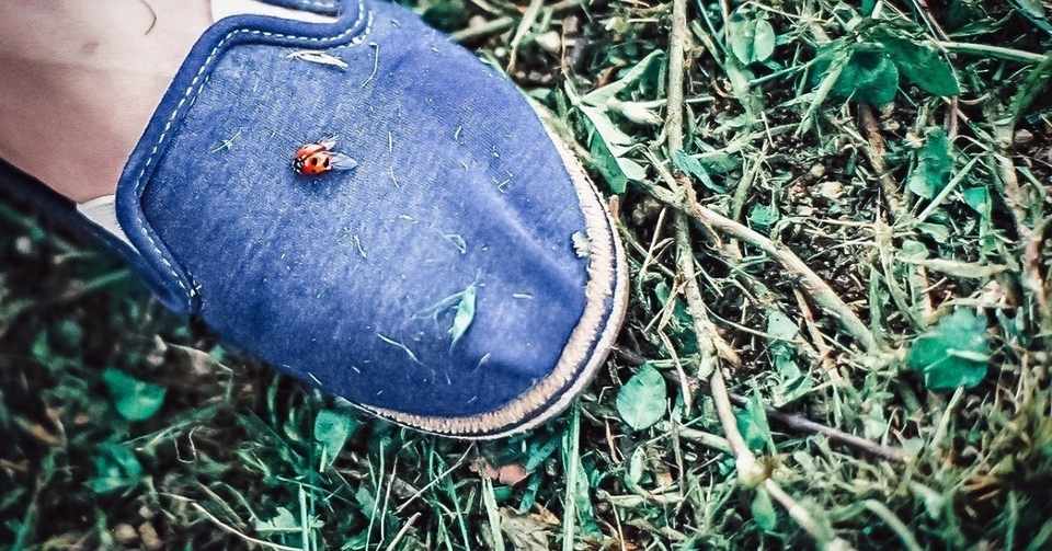 英単語 Leg の語源や由来 かいけつ 国内独学で英語上達 Note