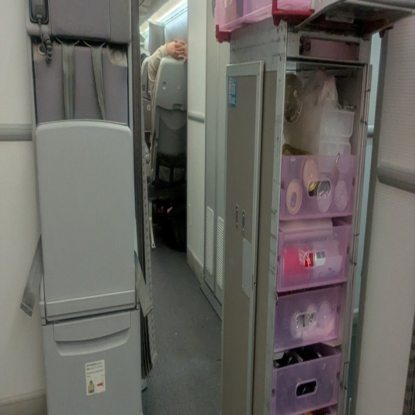 JGCプレミアの私が、JAL便エコノミーで「非常口席」を選ぶ理由