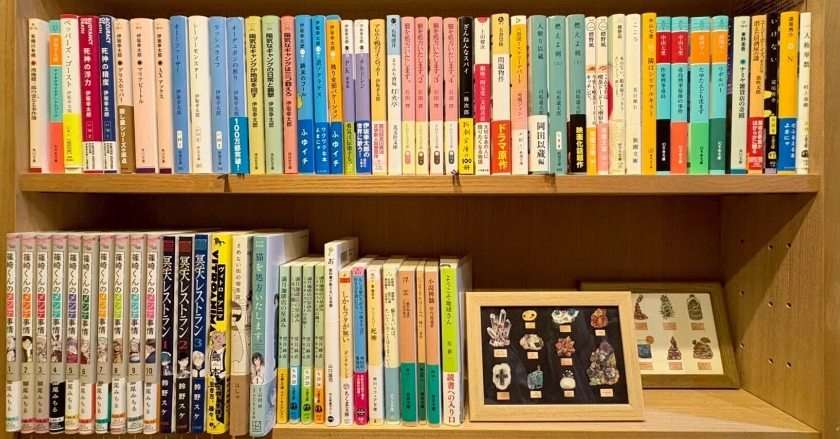 マス研員の本棚企画vol.9】ほっこり作品に癒される、あたたかい本棚
