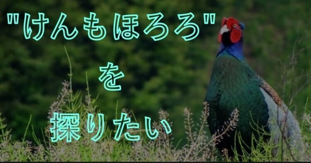 けんもほろろ