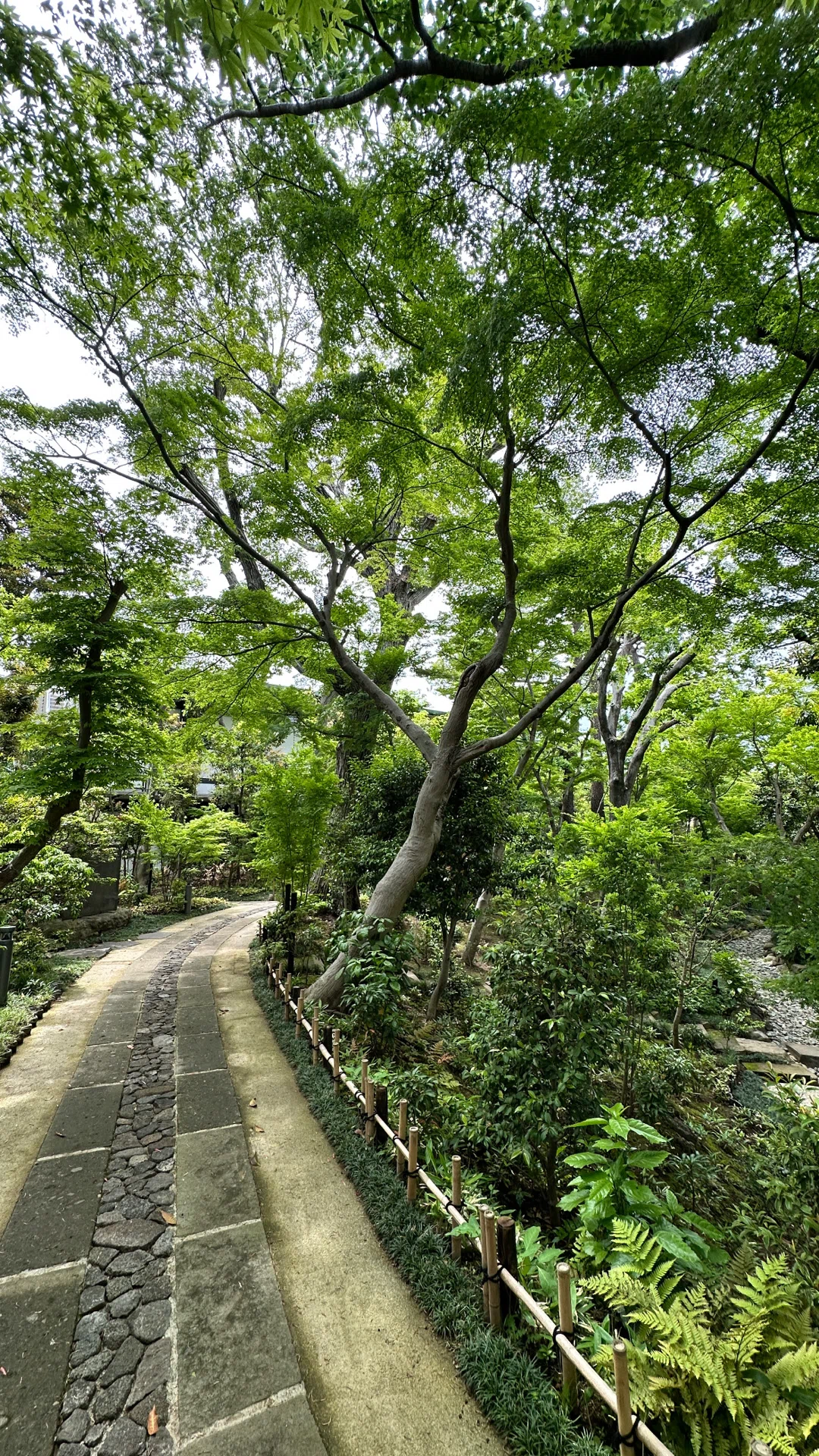 荏原 畠山美術館】花ひらく茶と庭園文化｜りんりん