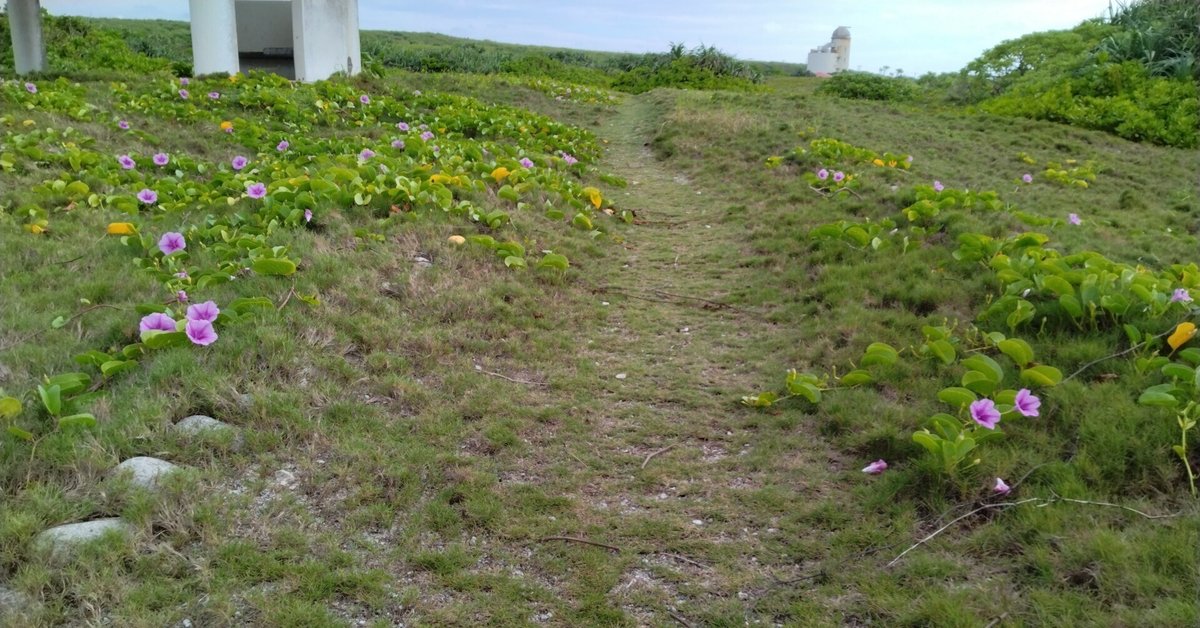 石垣島・八重山諸島のホテル｜沖縄旅行へ行くなら格安ツアーの楽たび