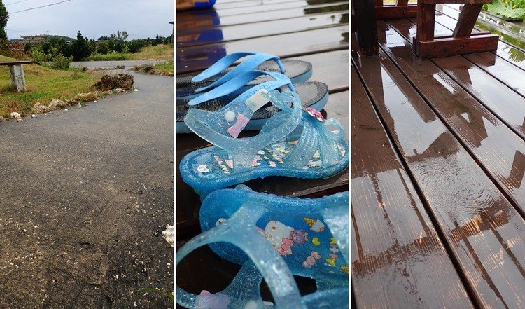 PCから離れて、ふと庭を見ると、さっきまで降っていた通り雨が止んだようだ。雨上がりの空気が新鮮で気持ち良い。散歩にでもでようかという気分になる。