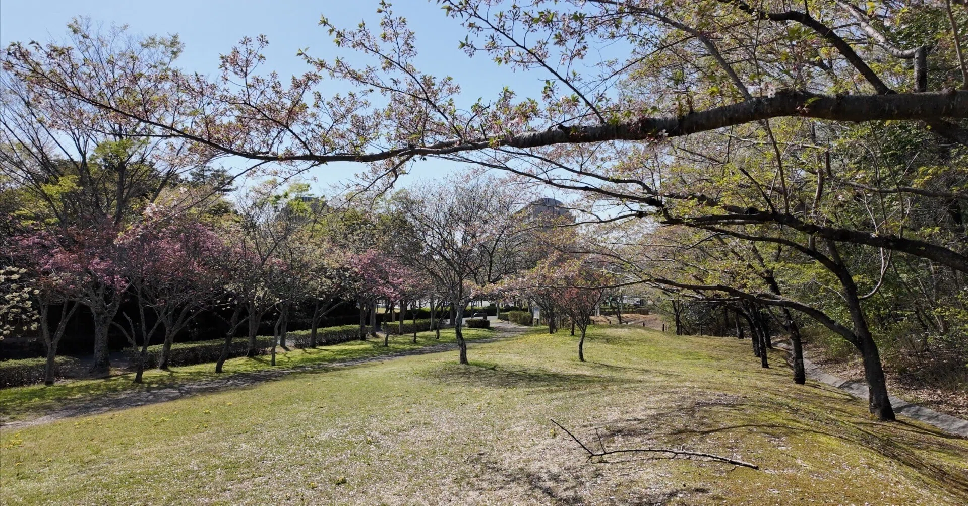 三好 丘 公園