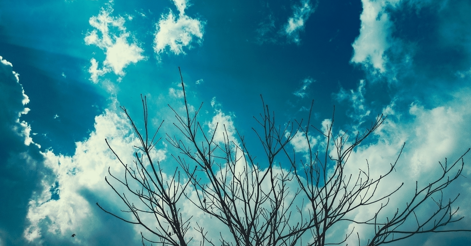 月刊登記情報2025年5月号762号｜sunao