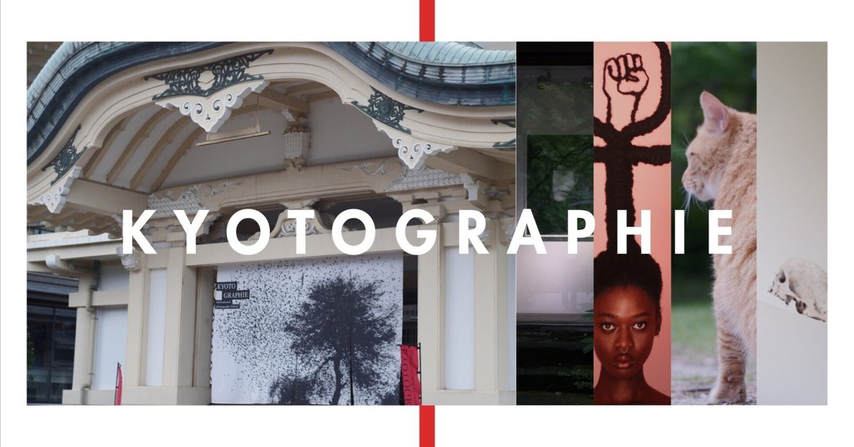 KYOTOGRAPHIE 2025】 写真の巡礼 と瞑想でカメラが少し上手く