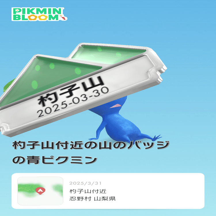 2025年Mt.FUJI100のために準備したコトやモノ｜坂下りマニア