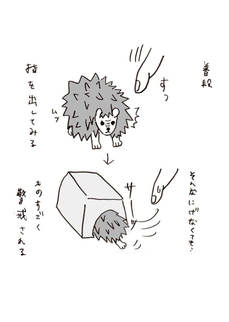 女二人とハリネズミで暮らす話 イラスト Ihcamiraj Note