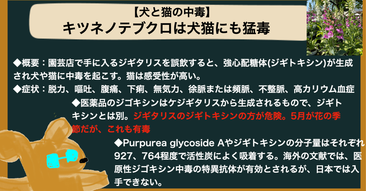 Amazon.co.jp: 猫中毒(通常盤): ミュージック