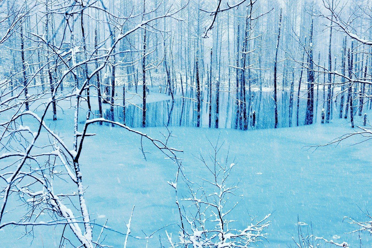 冬の青い池 Scoop Kawamura Note