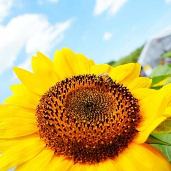 月原の撮影勉強note📖