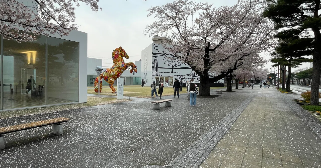 春の余白に包まれて：十和田市現代美術館にて｜プチドラ