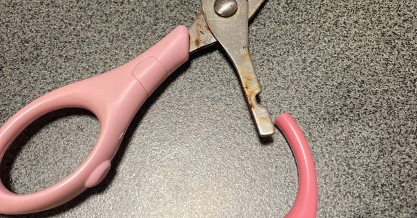 引っ越ししたつもり大掃除】断捨離したら新しいものでスタート