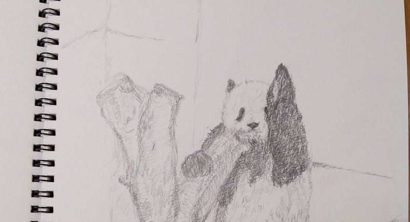 パンダデッサン練習 - 2025-08｜こひろ@こぎん刺しのテディベア作家