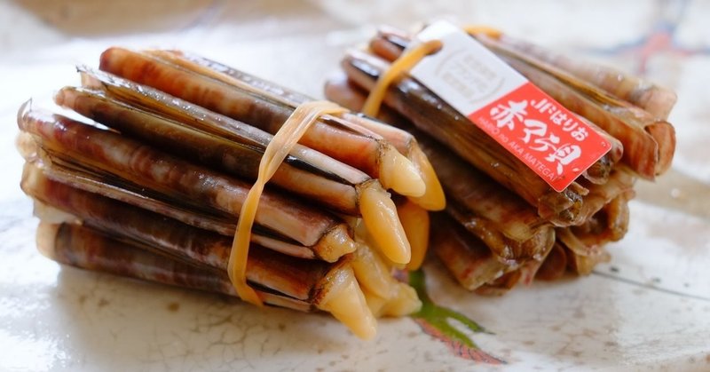 長崎の食6～赤マテ貝～