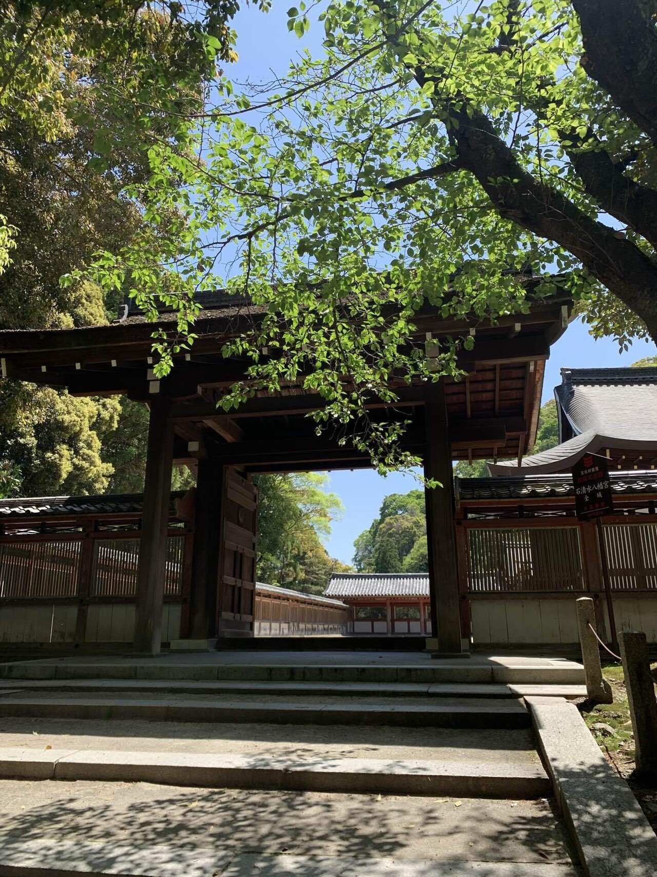 水源のある神社リストにあった石清水八幡宮へ行く｜みかみ まき