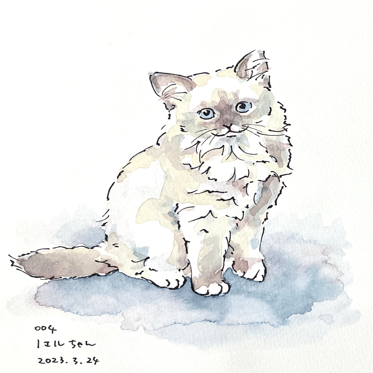 猫水彩画上達プロジェクトアーカイブ ① 001〜012｜はなさきロージー