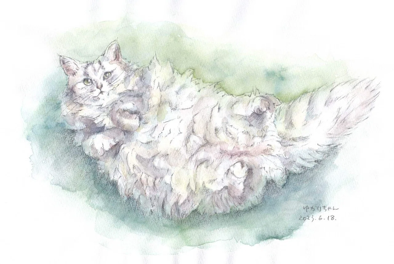 猫水彩画上達プロジェクトアーカイブ ① 001〜012｜はなさきロージー