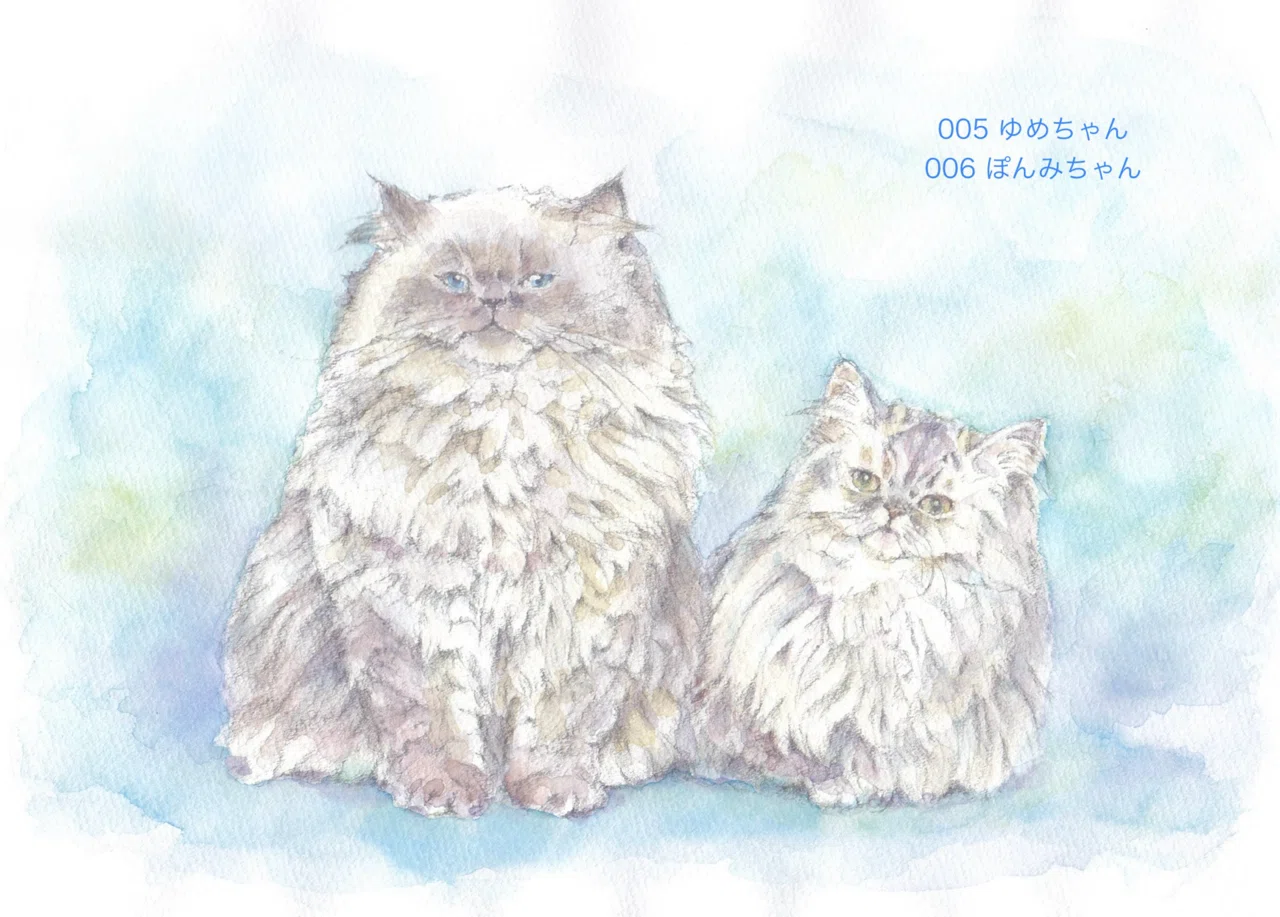 猫水彩画上達プロジェクトアーカイブ ① 001〜012｜はなさきロージー