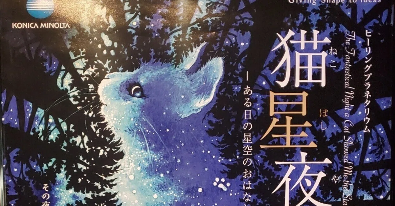 猫星夜が最高だった話！！｜ぼくのタッチタイピング日記