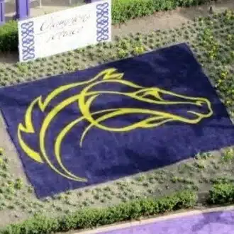 現場主義！　馬産地NAOKIの競馬予想