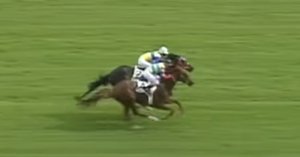 日本ダービー2025 優勝馬　クロワデュノール sddefault.jpg
