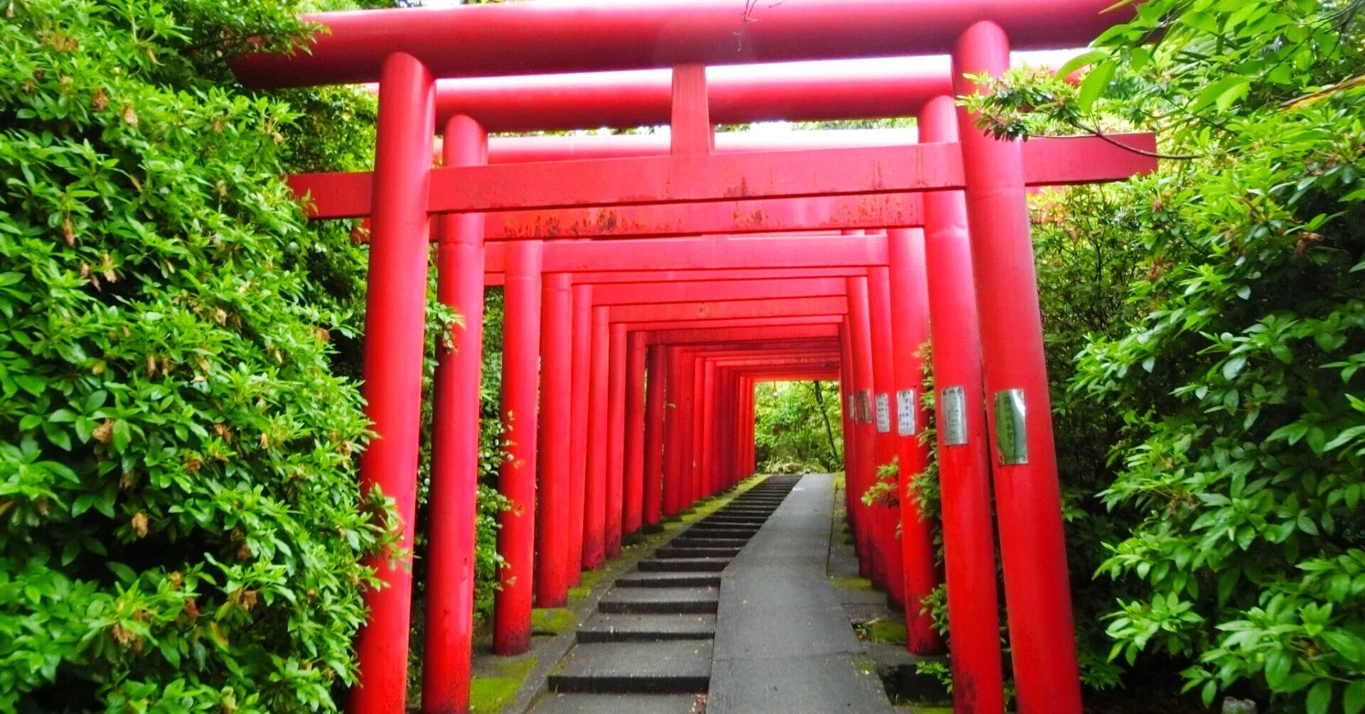 千代 保 稲荷 神社