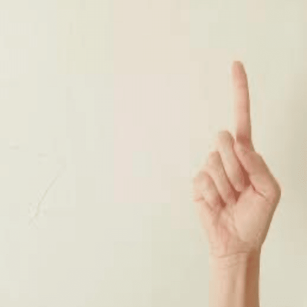 アオリイカとは少し違う ツツイカエギング攻略法 オンライン釣り塾 Fishing 科学 こう兄 公式 Note