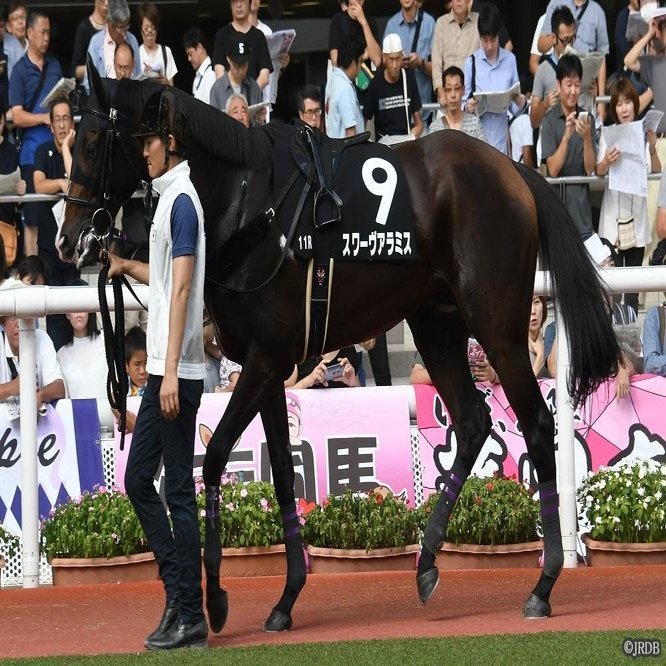 ２ ８ 土 アルデバランｓ 古谷剛彦さんの印 Jrdb 競馬アラカルト Note