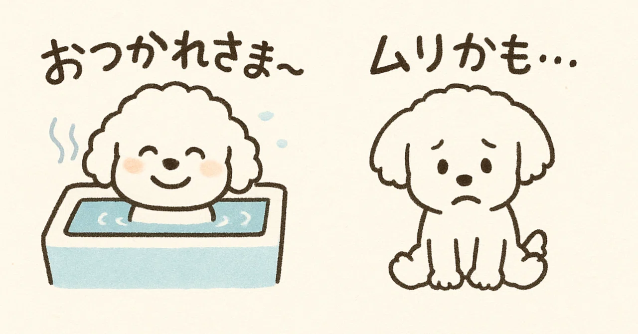 初心者がゼロからトイプードルLINEスタンプを完成させるまでの道のり